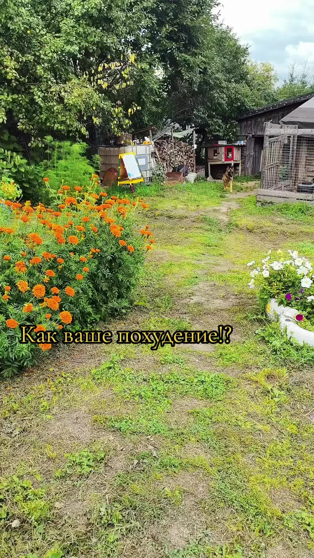 @Лена