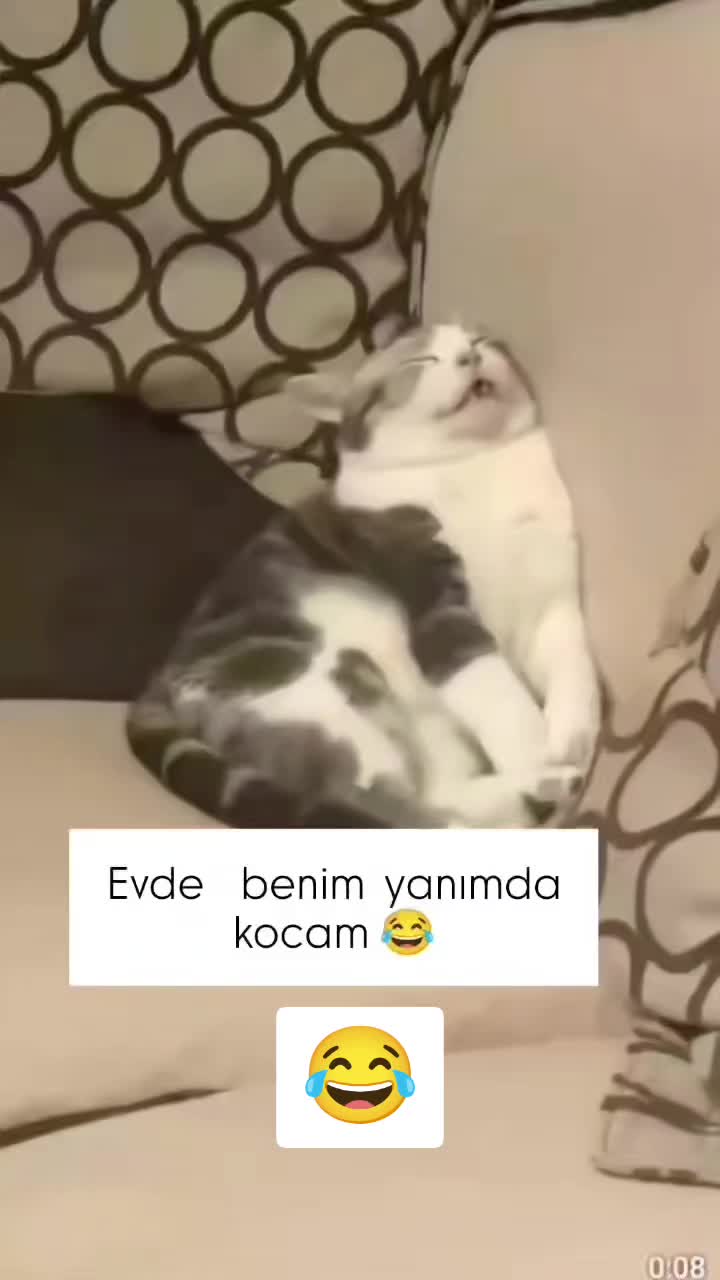 @Yumor_Time95