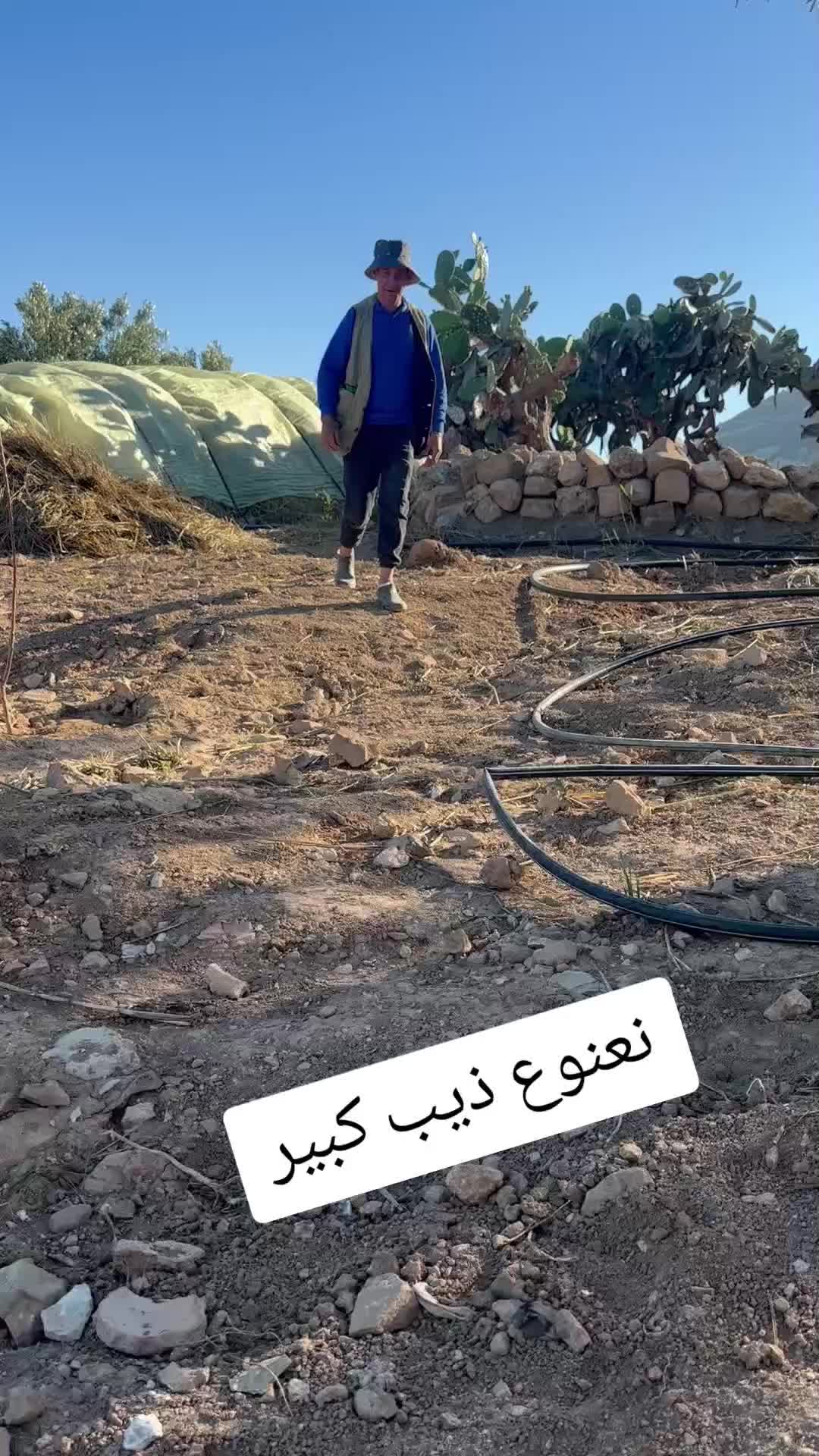 @الحاج نعنوع