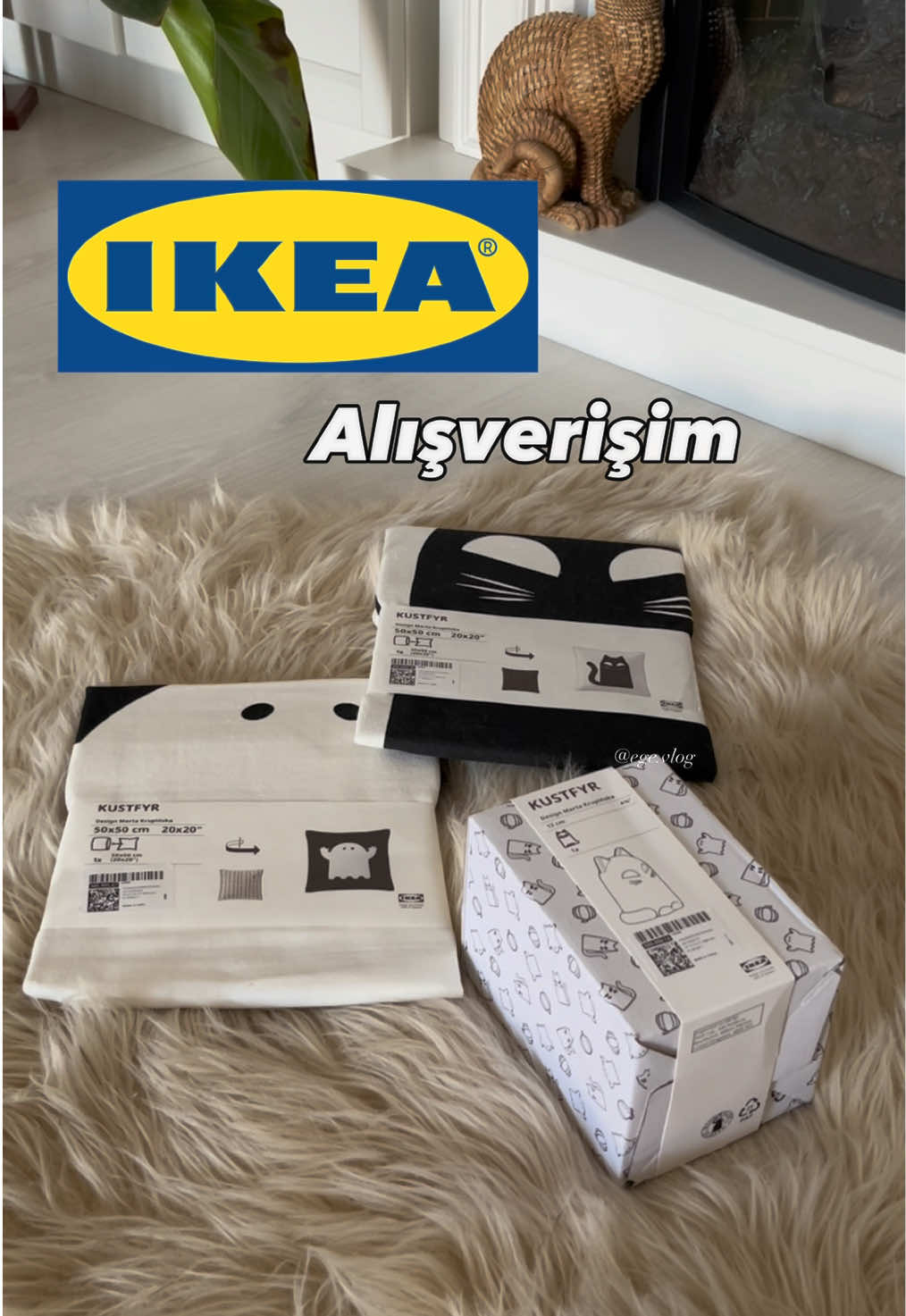 @ege blog