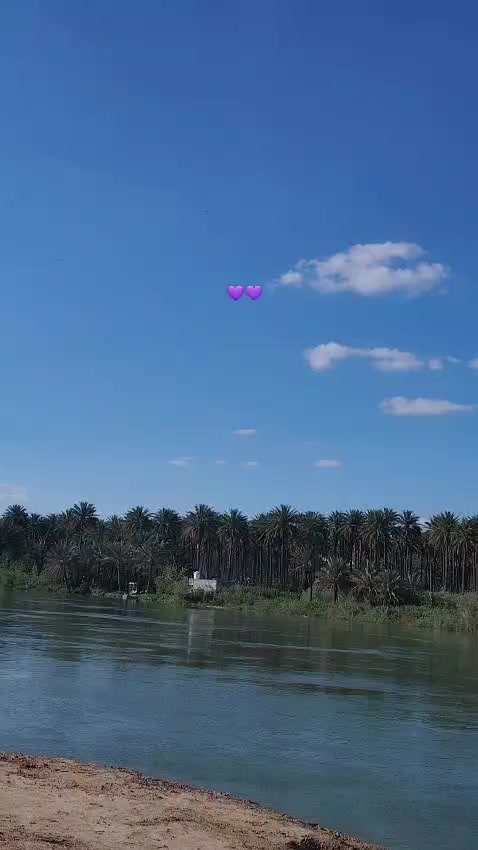 @هاجر طارق 🍒