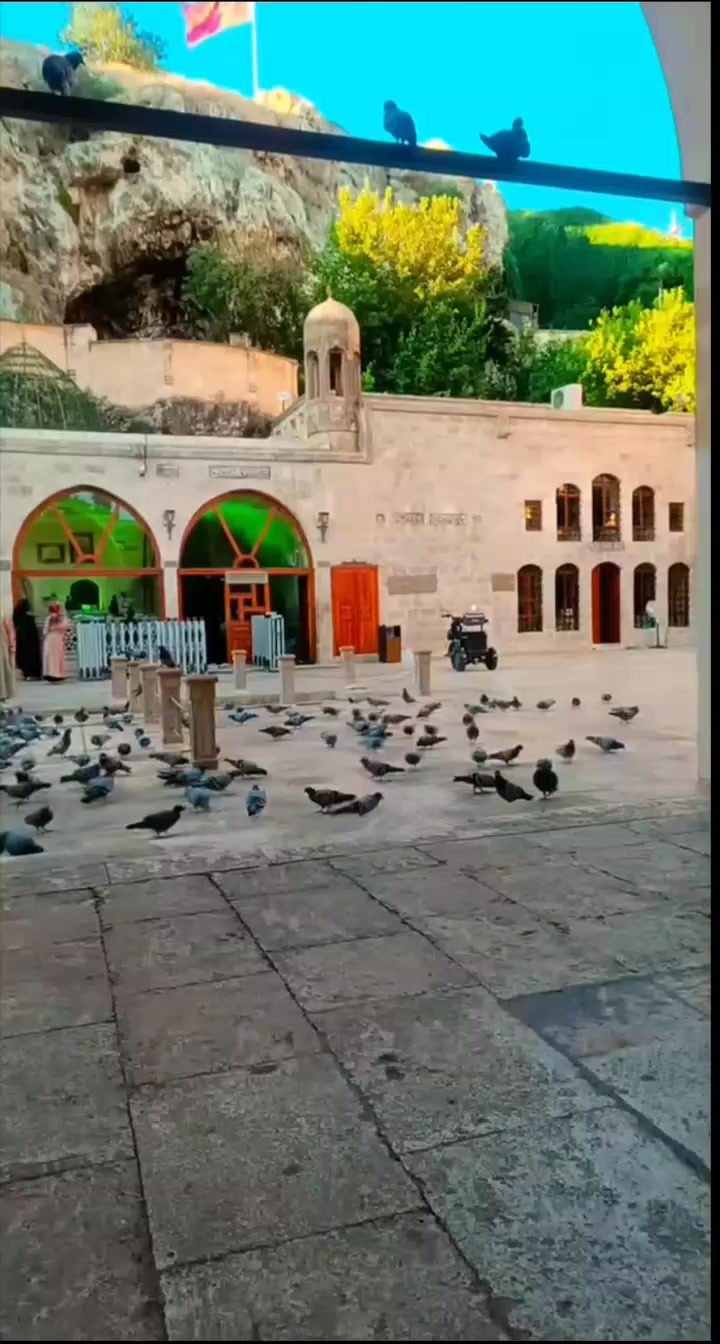 @sakarya_fırat_🇹🇷