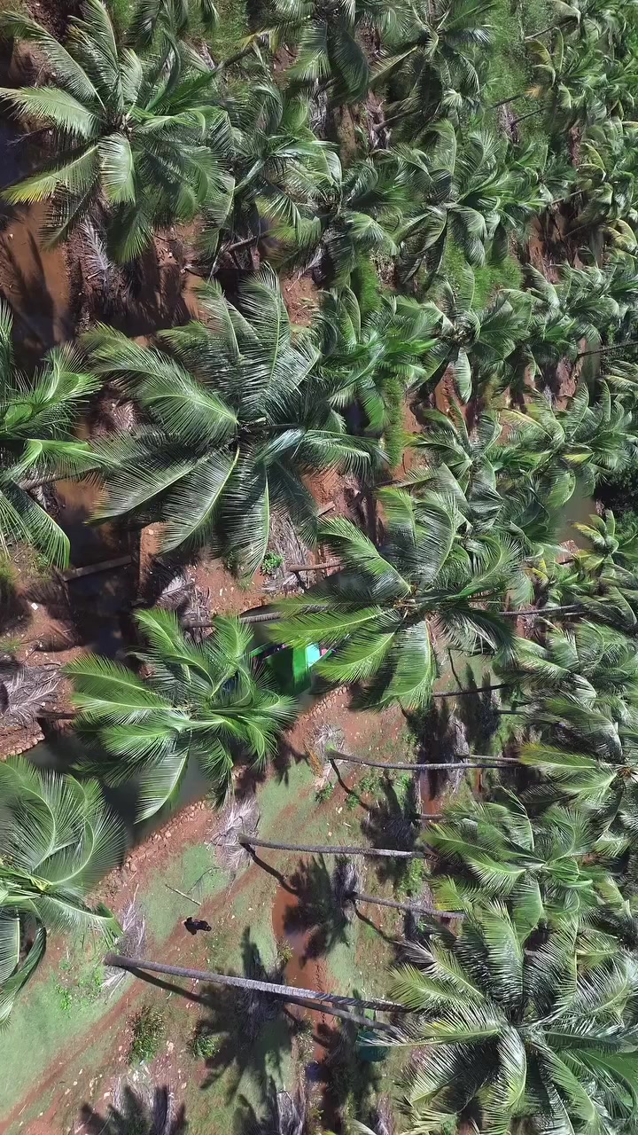 @ᛕᗩᖇᑎᗩ丅ᗩᛕᗩ