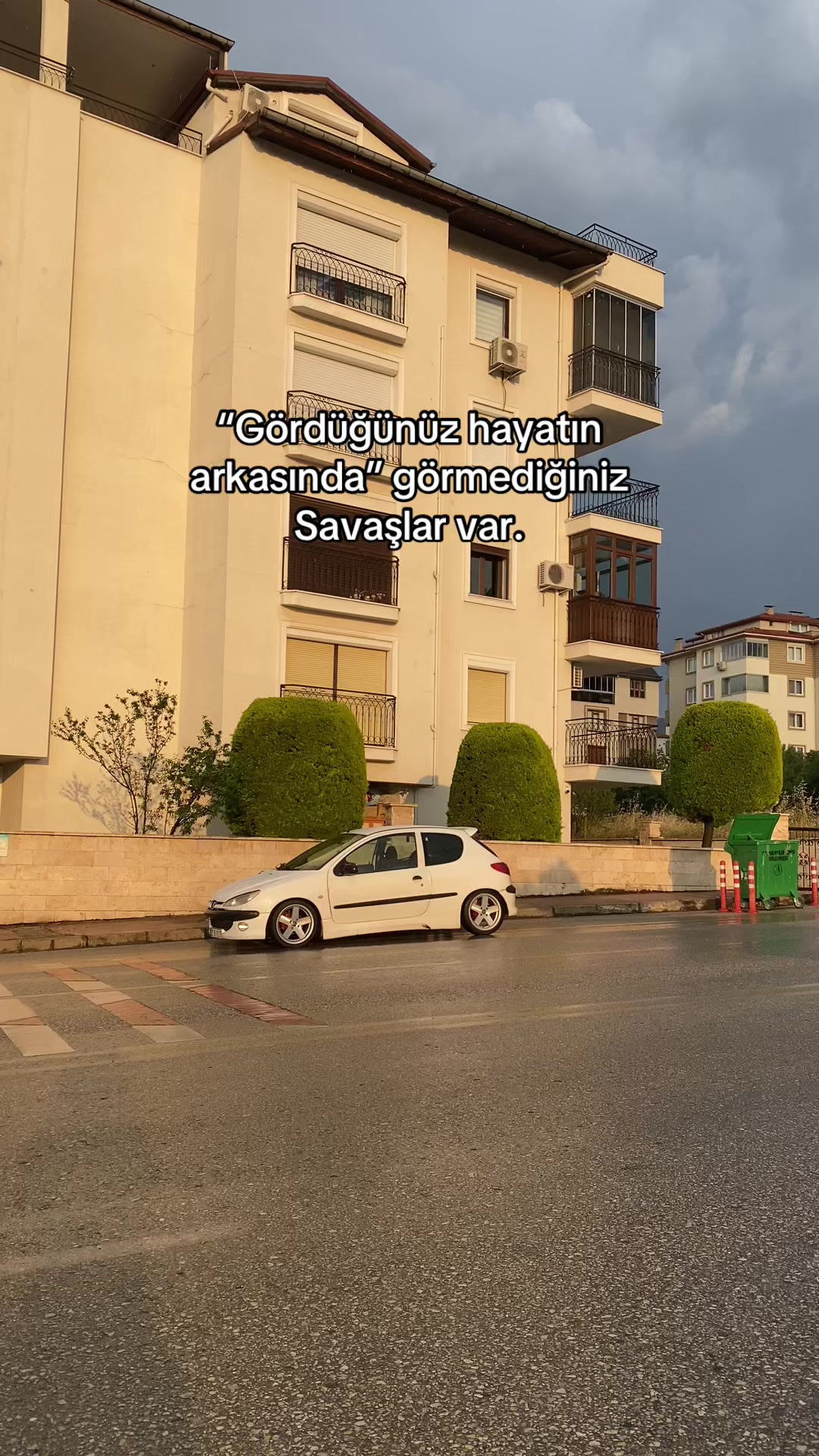 @𝐘 𝐀 𝐒 𝟏 𝐍 𝐒