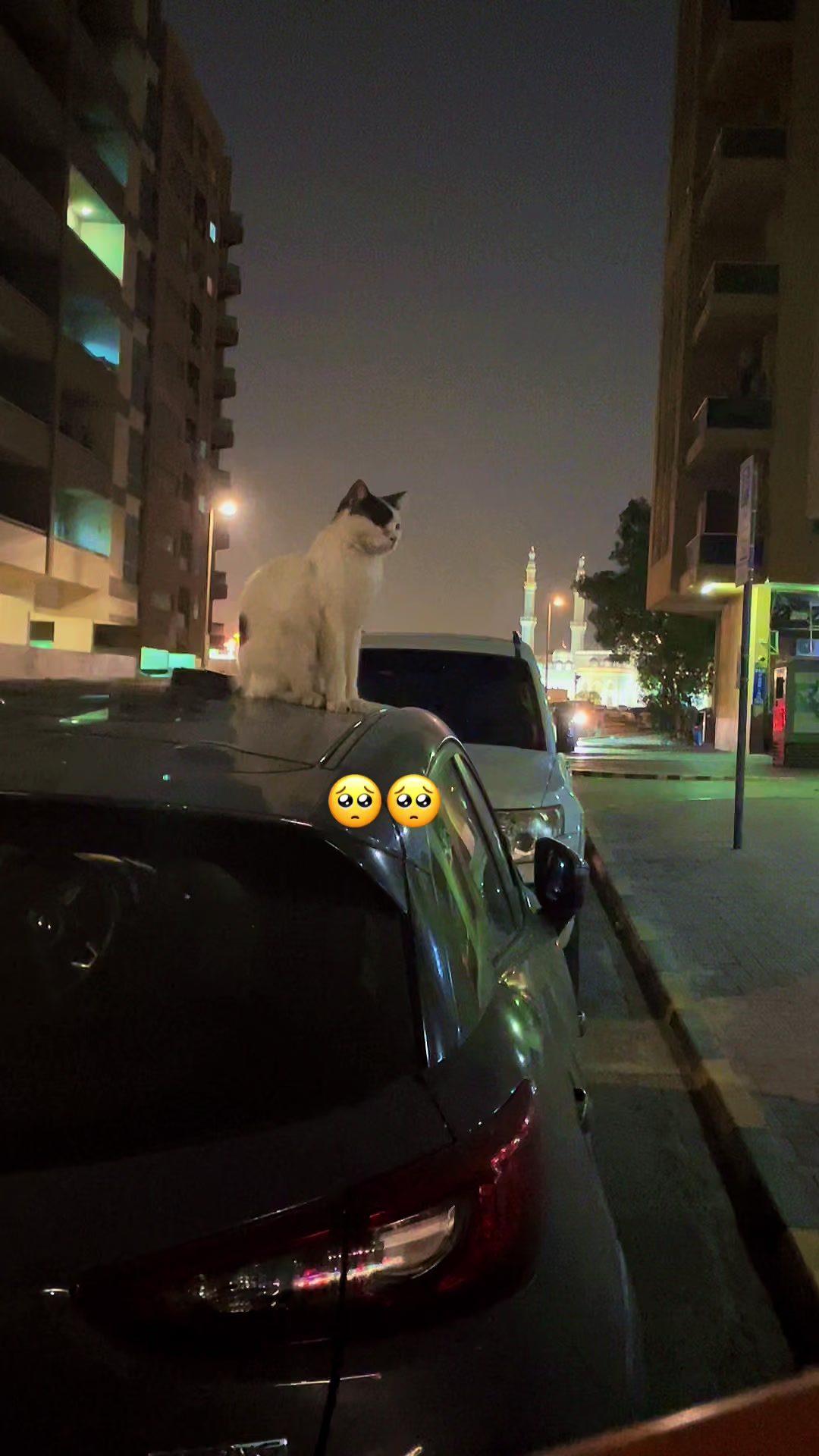 @Dubai vlog 99