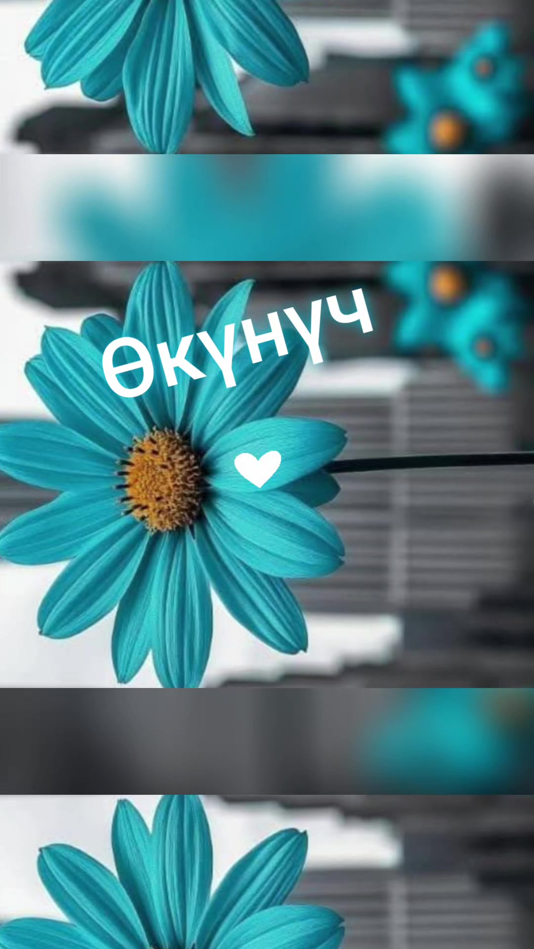 @🎀M&M