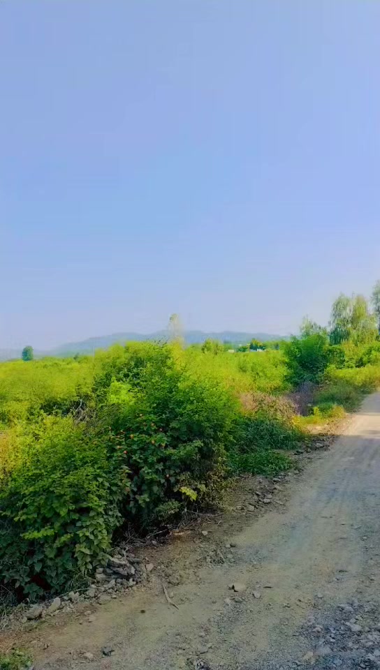 @Itx_Hashir khan 23🥀