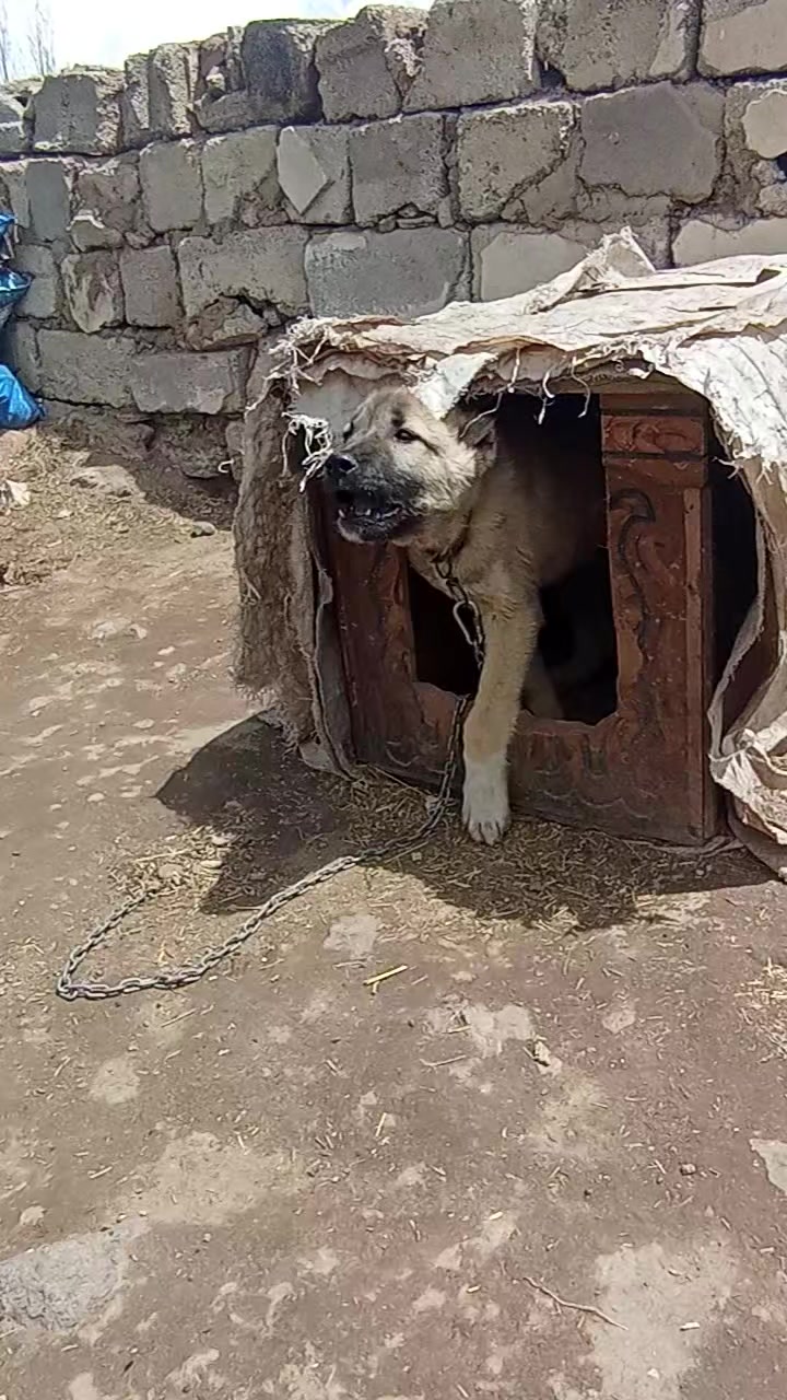 @Yusuf saldık