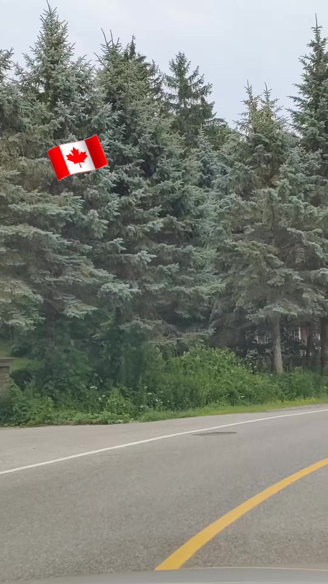 @Sher khan🇨🇦🥀