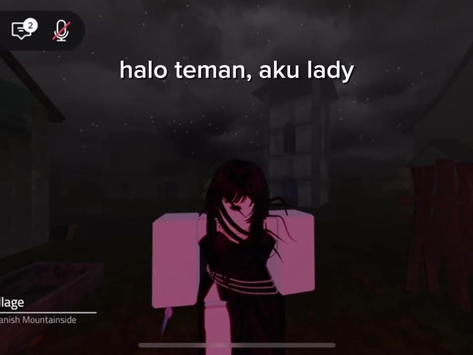 @Lady