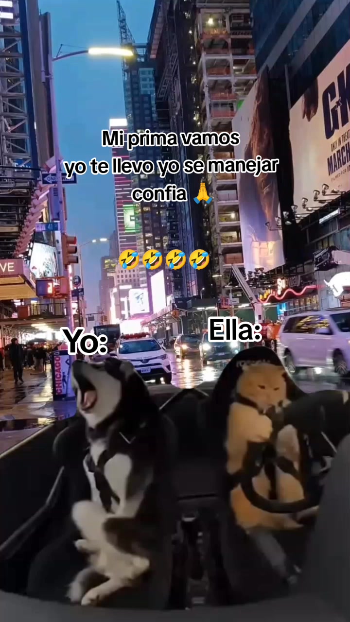 @♥️YD🧸💕