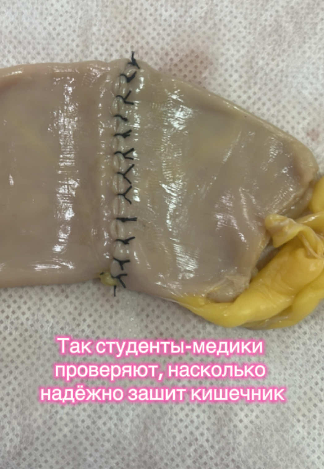 @Your future surgeon🐉