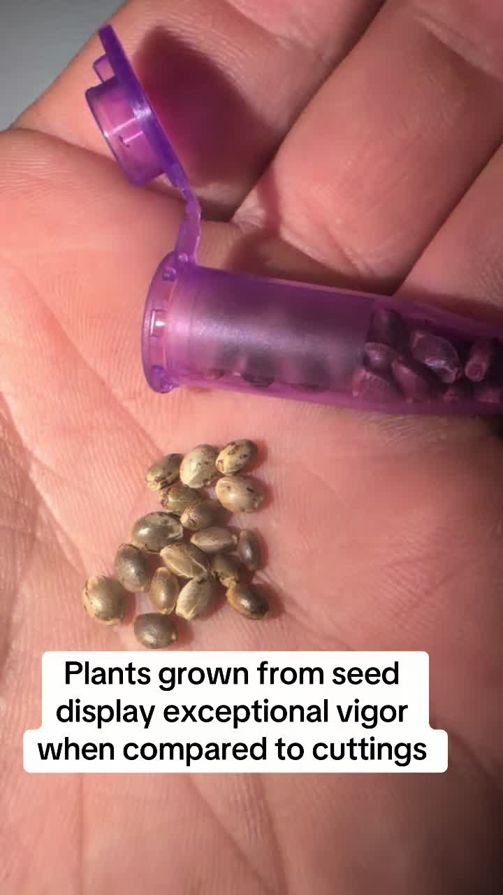 @SEEDTIVA