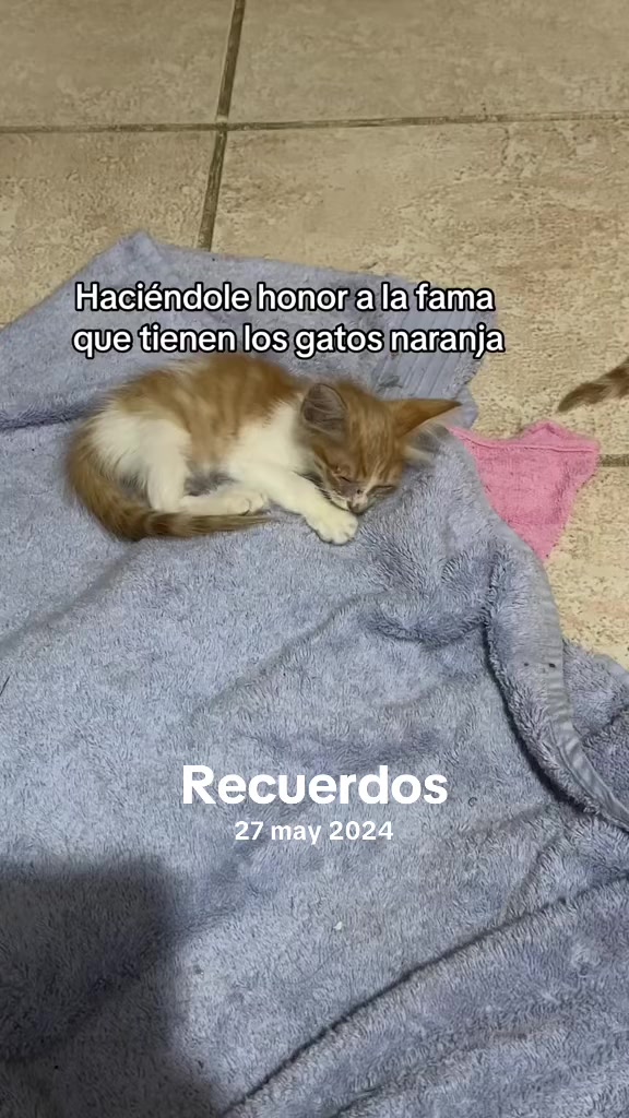 @Mar&iacute;a Betania