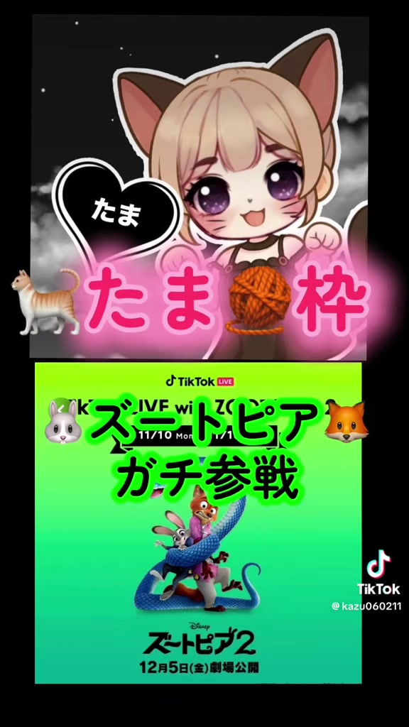 @🐈たま🧶