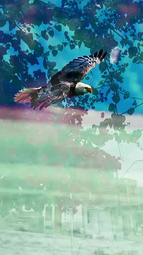 @Potiraguá Bahía e região