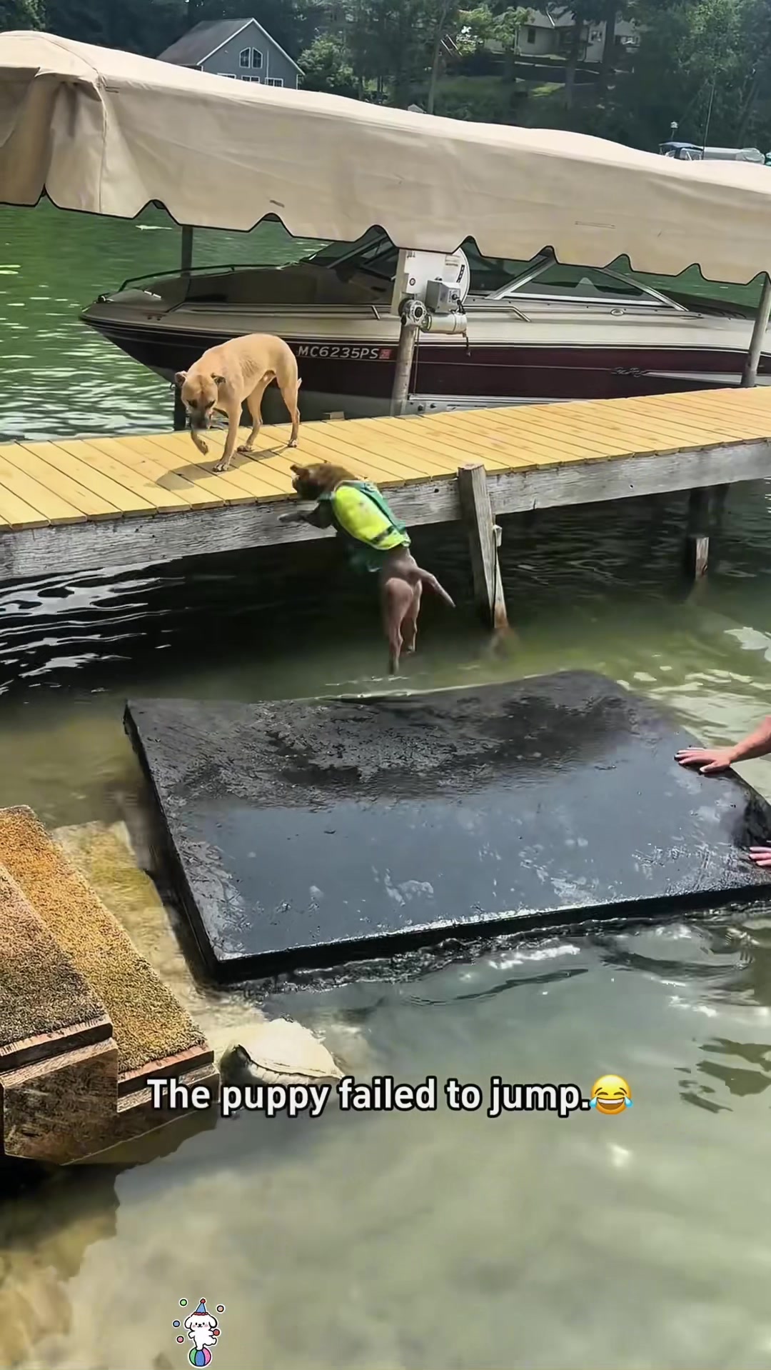 @SneakyFails