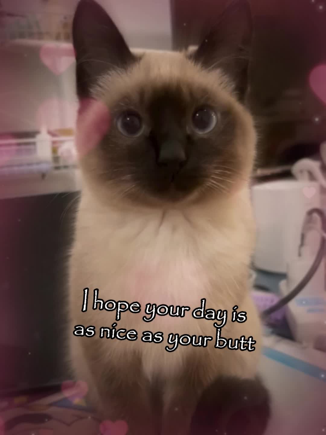@Mihamii35