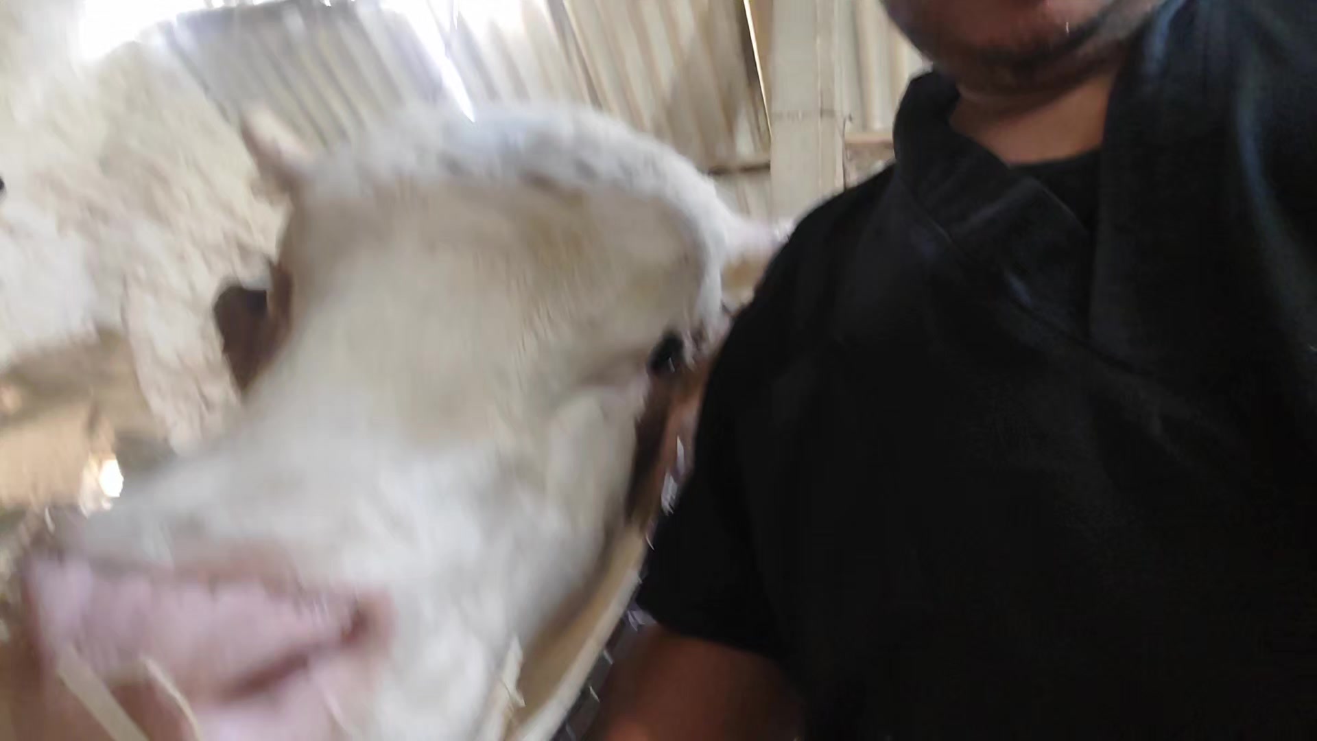 @طبيب بيطري و أفتخر