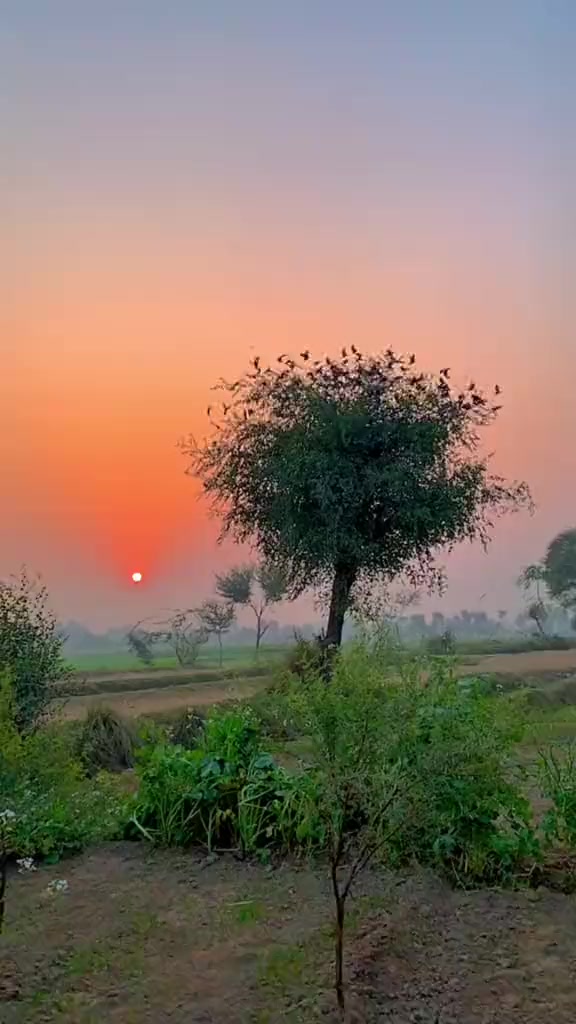 @@Raja 804