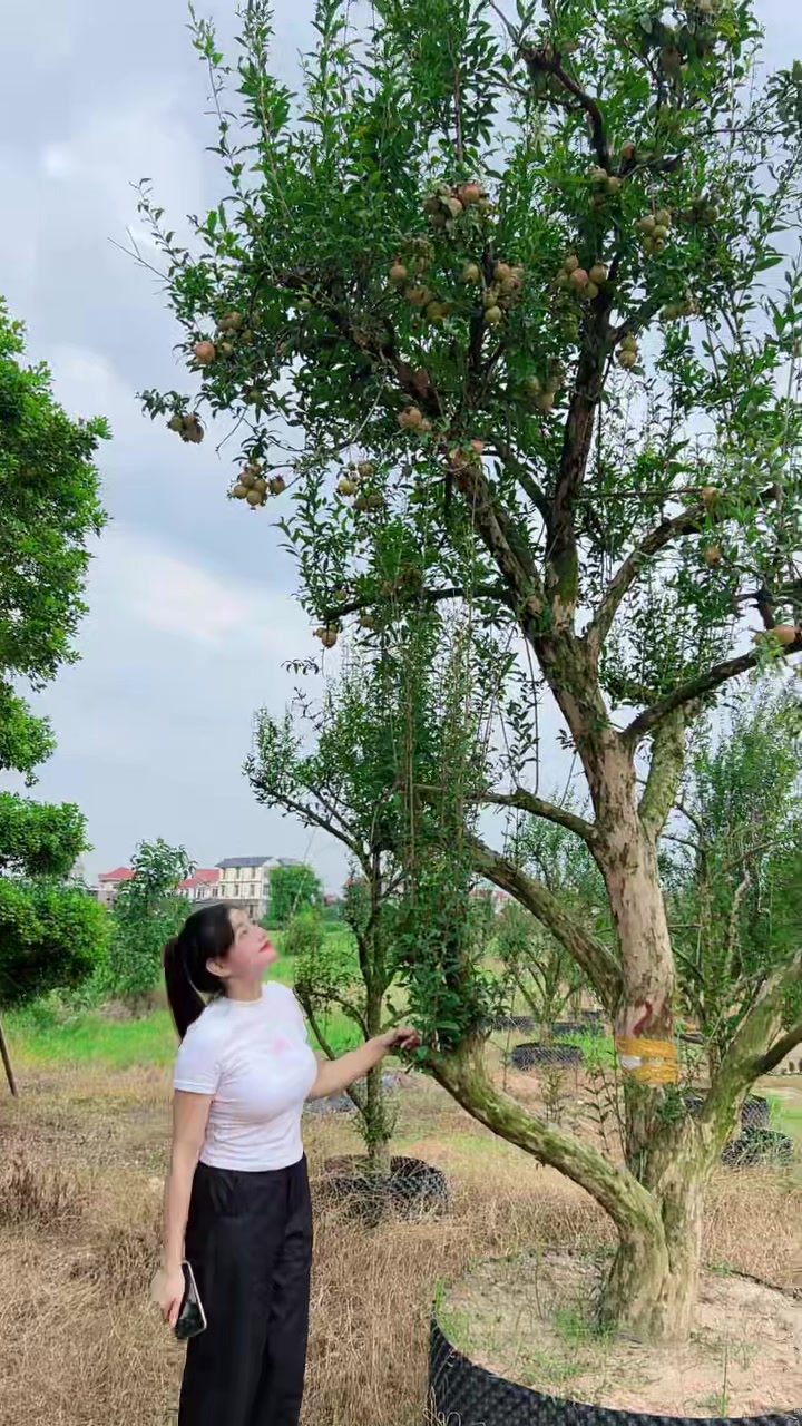 @Khổng La