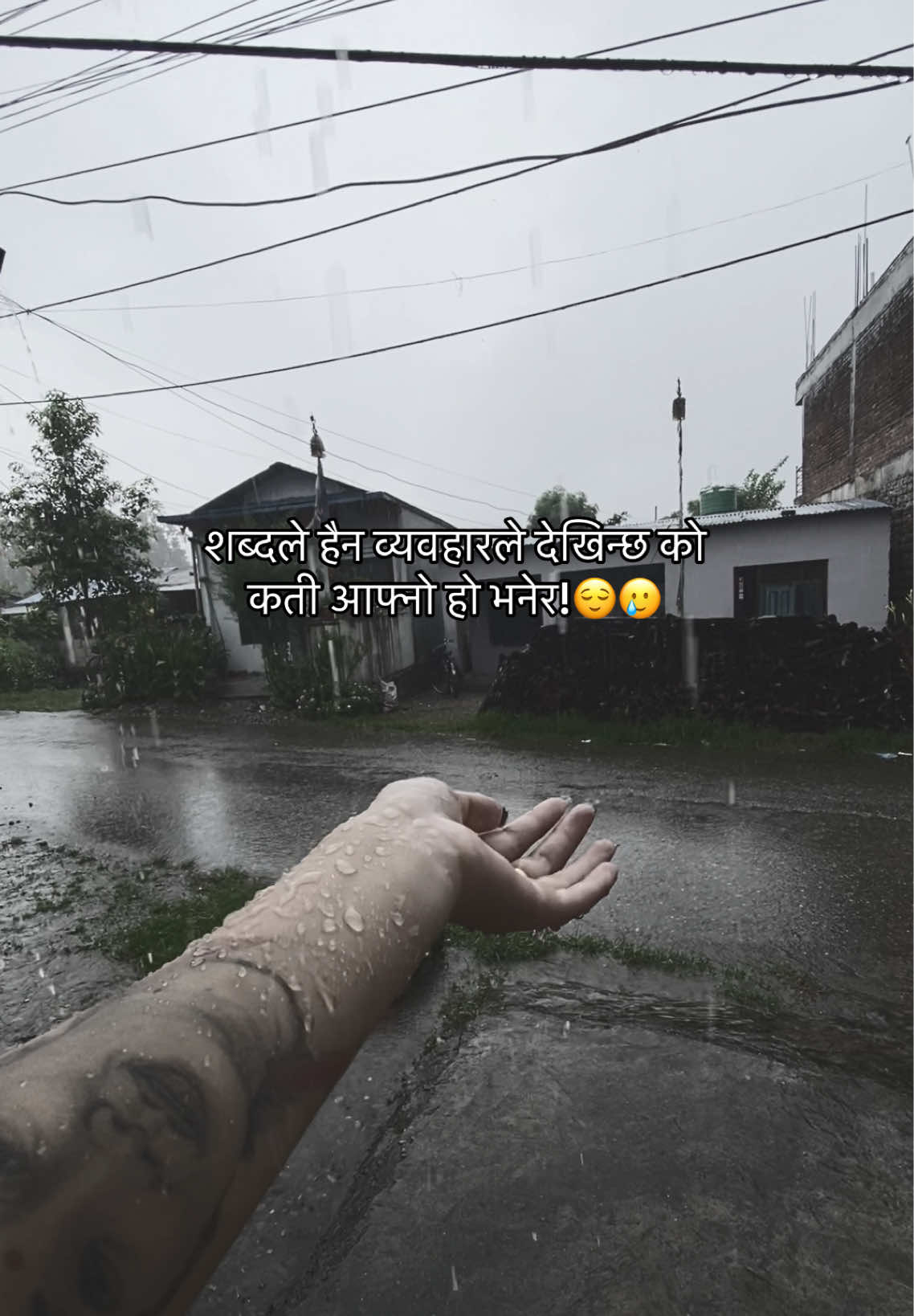 @Resutmg🌻🌺