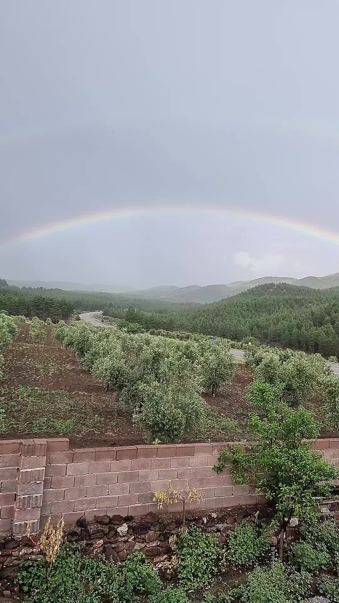 @🌹G&uuml;lay🌹