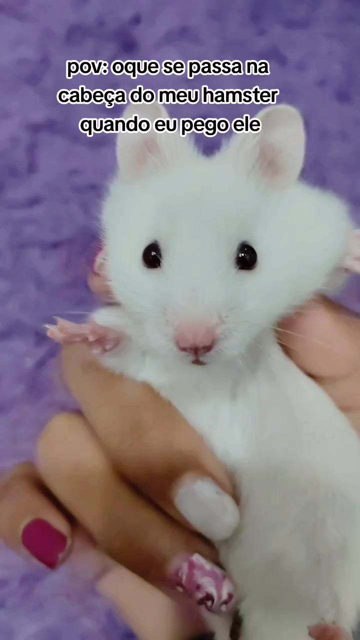 @𝓙𝓾𝓳𝓾 🧿🧸
