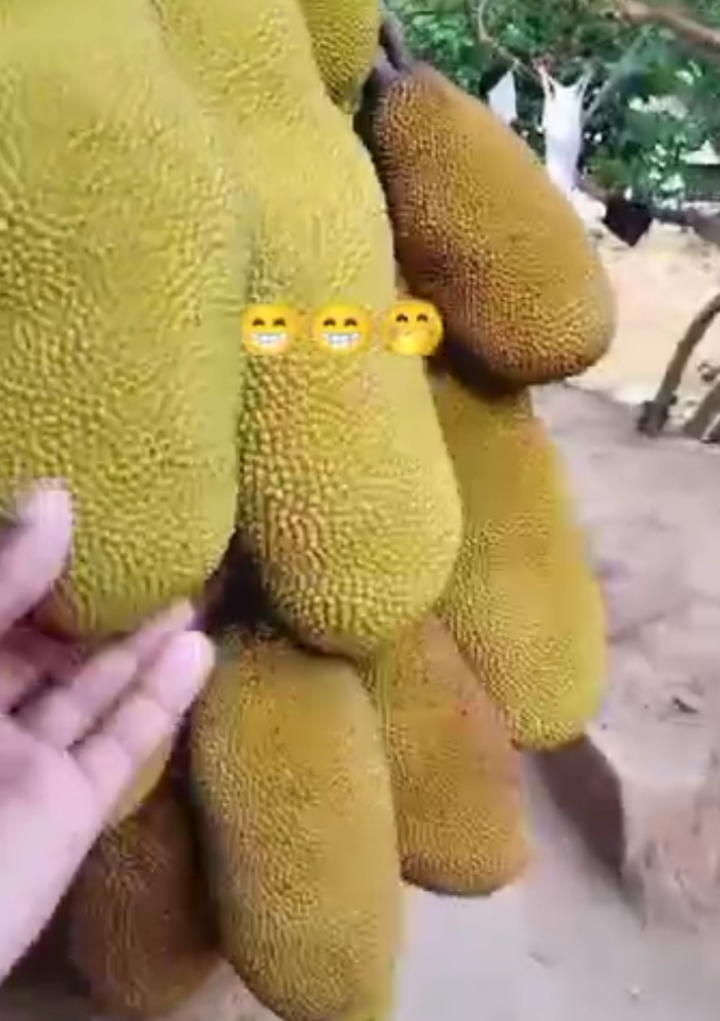 @🇲 🇩  🇷 🇴 🇧 🇮