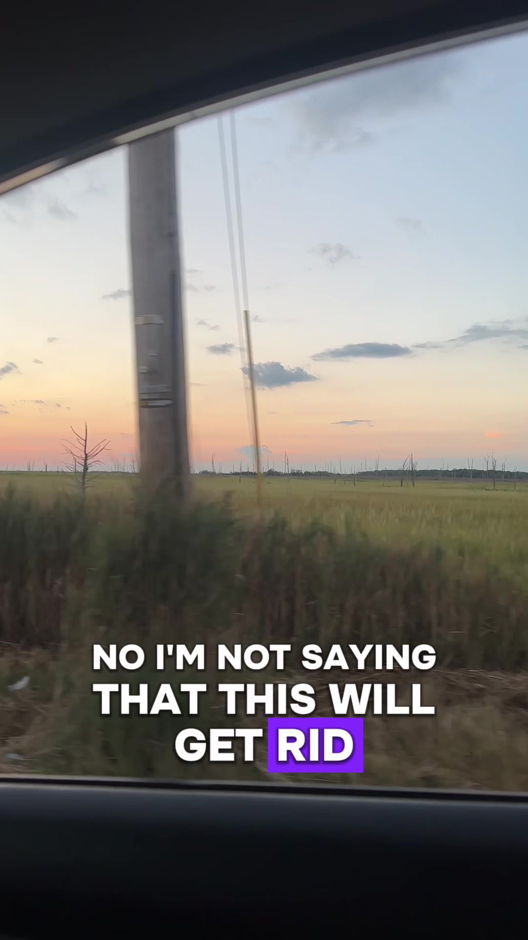 @Alyssa Nicole