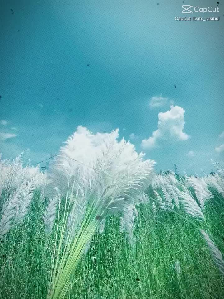 @priyasha143