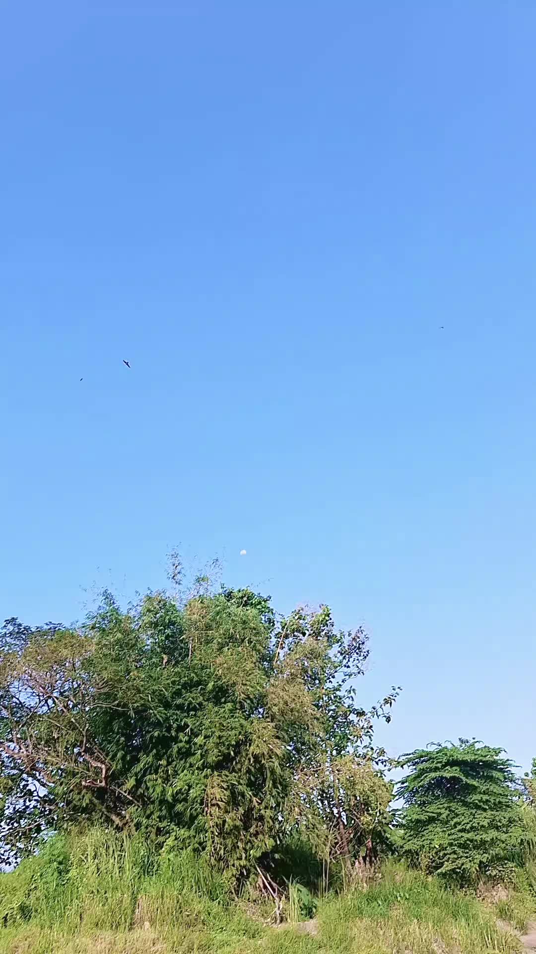 @𝐌𝐑 𝐋i𝔼𝐌