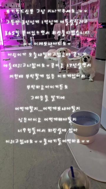 @아콩맘♡