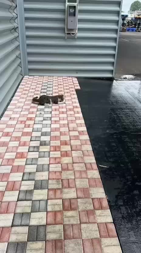 @Funny