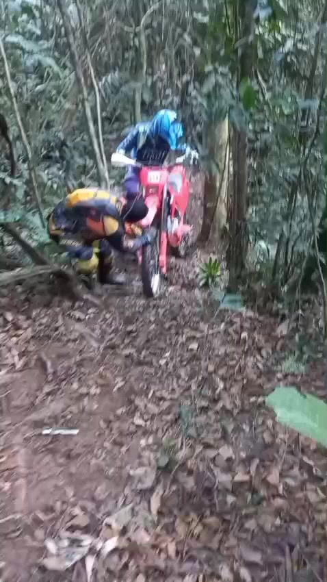 @Daniel De Oliveira D