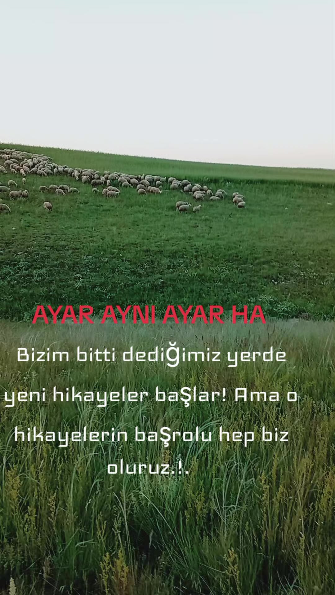 @HAYAL KEŞ