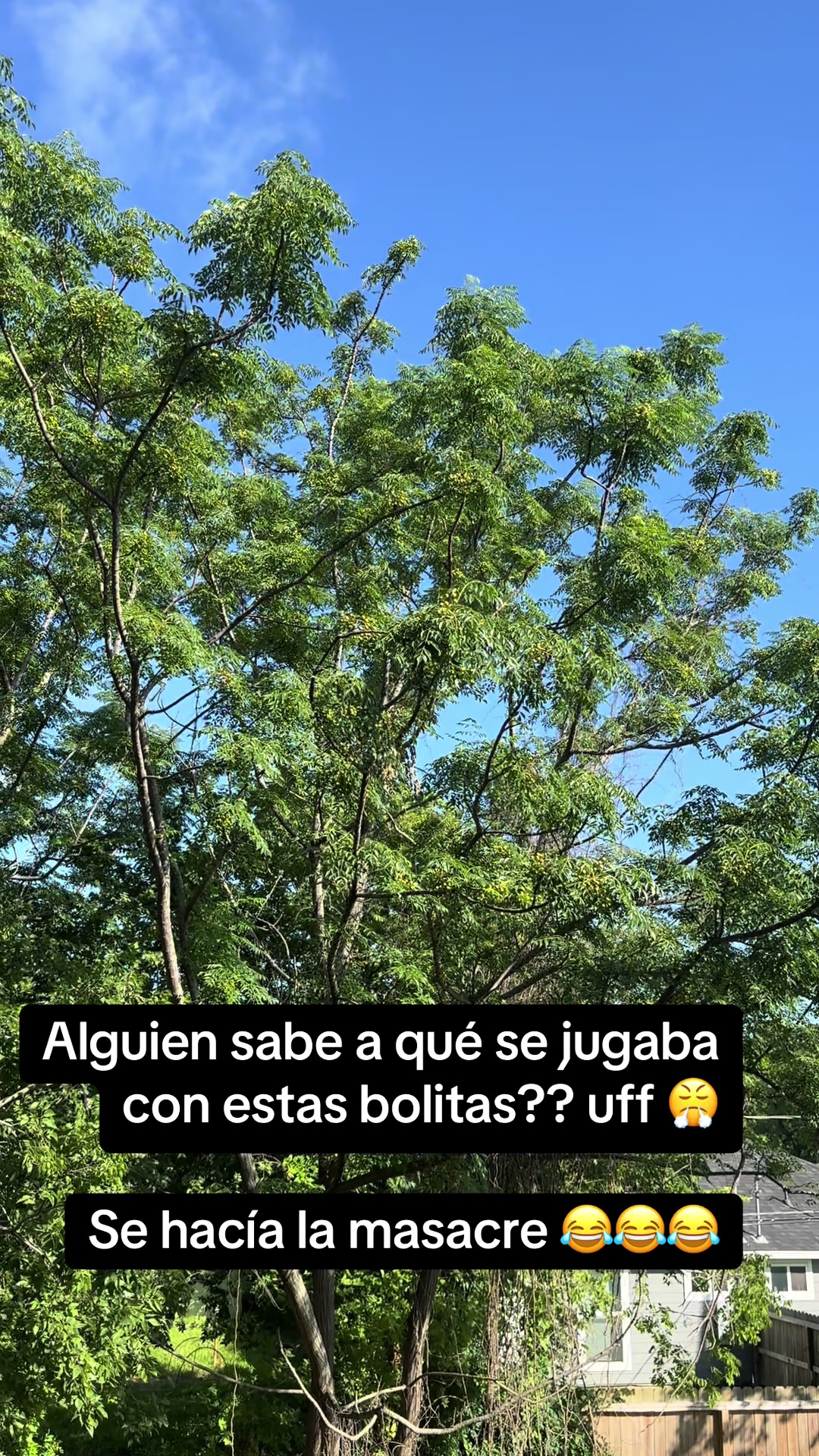 @miizteermiicheelsotelo