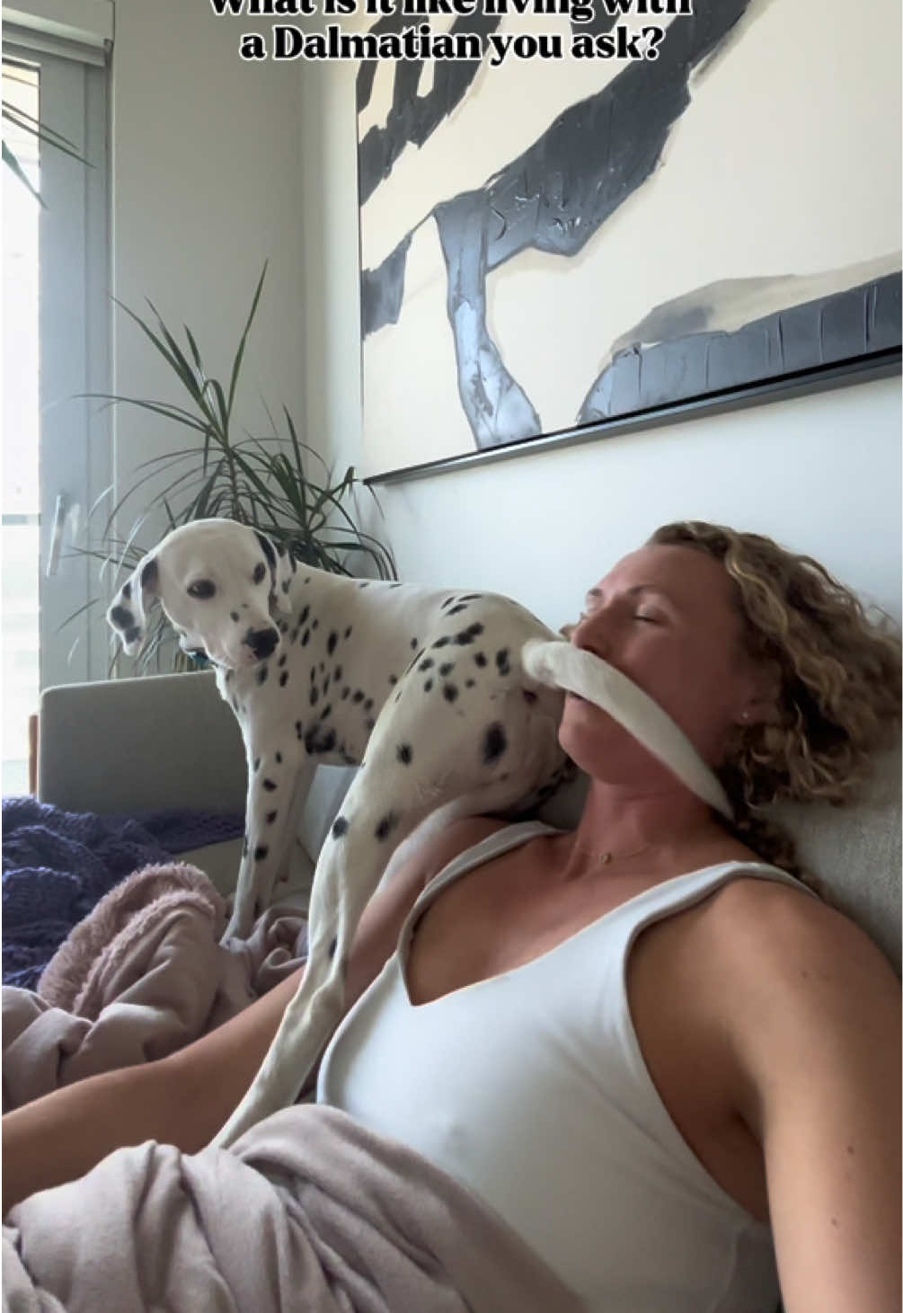 @Nevada the Dalmatian