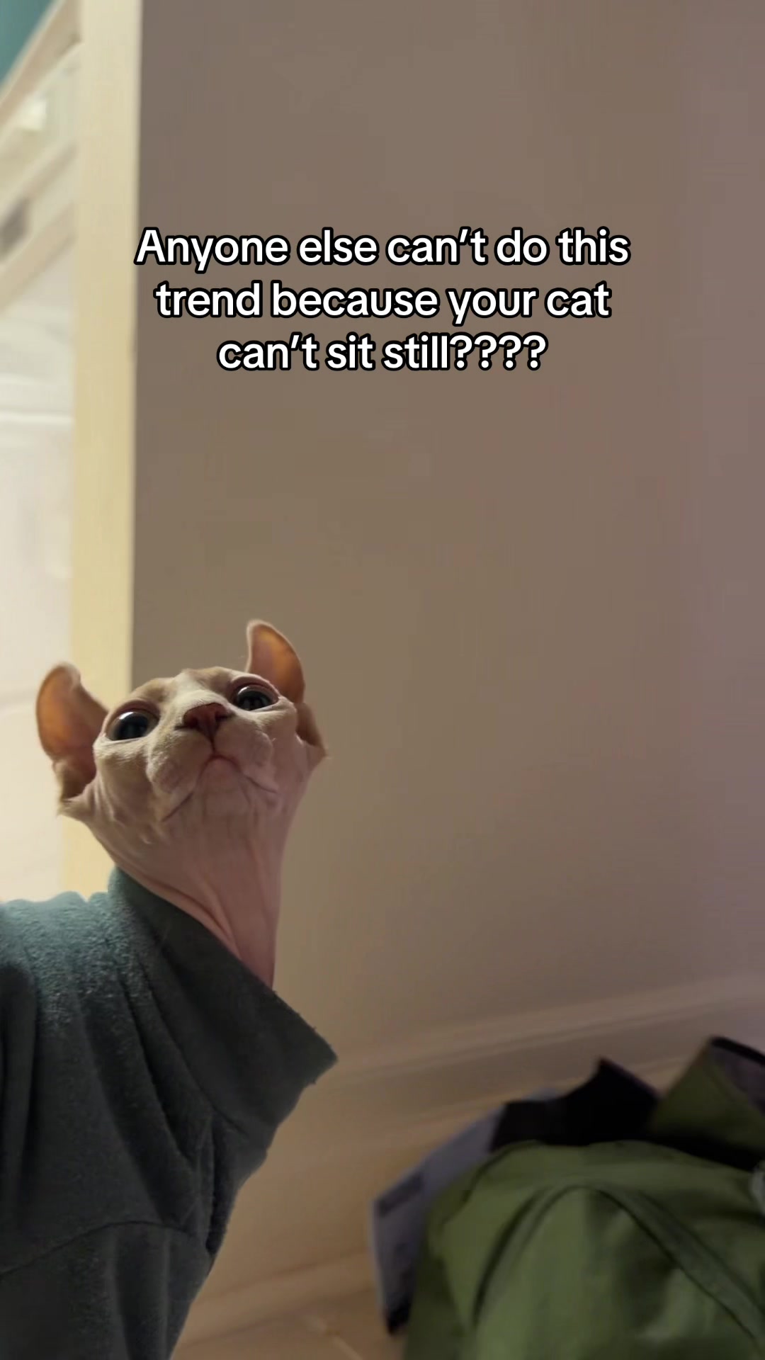 @Misa & Winston