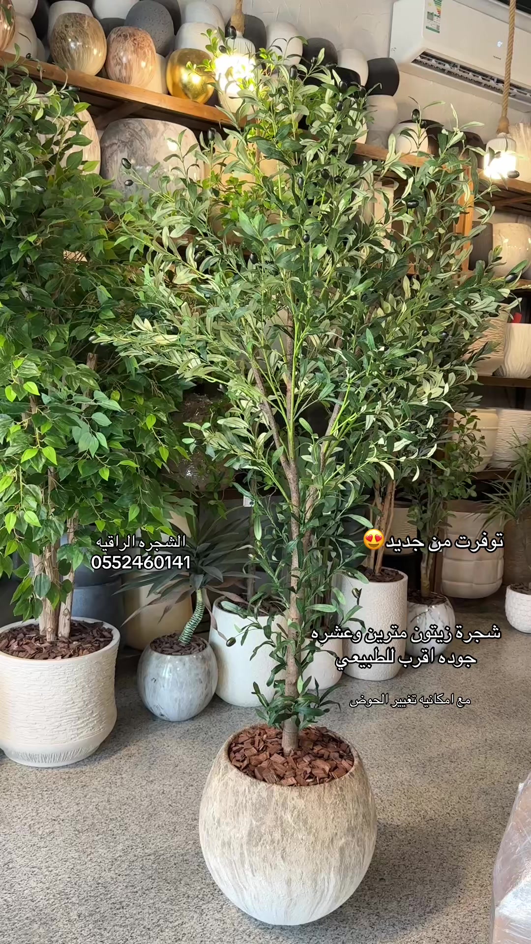 @الشجره الراقيه(زهور المملكه)🌴