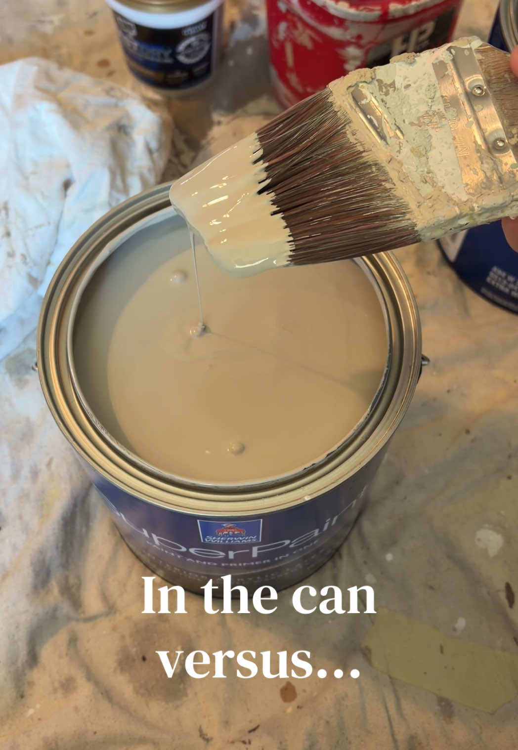 @Megan’s Paintings 🖌️