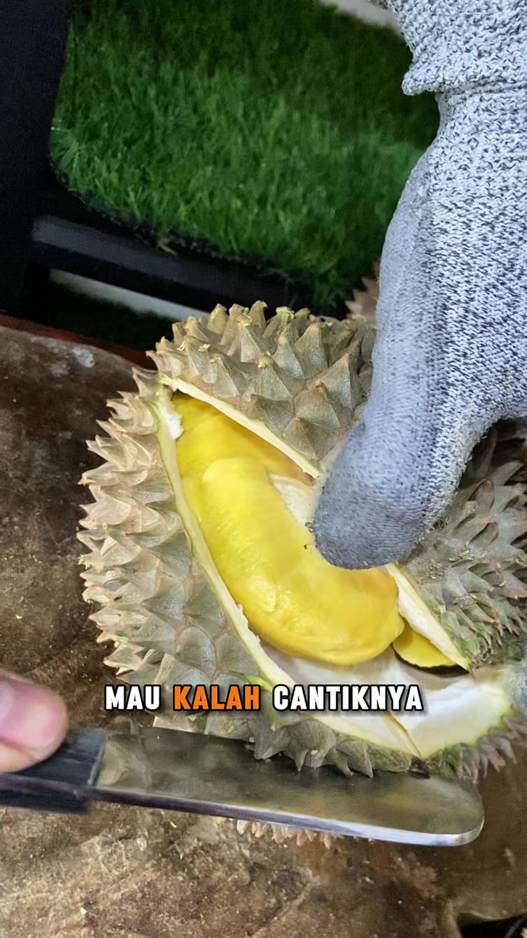 @CICIP DURIAN
