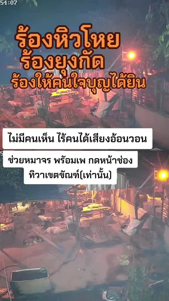 @๐๘๖๑๔o๘๓๙๖ทิวาเขตขัณฑ์