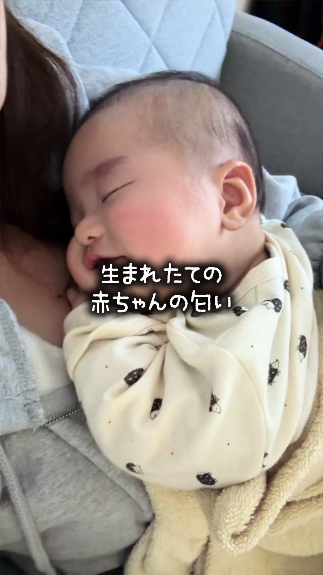 @eri|3児ママの部屋