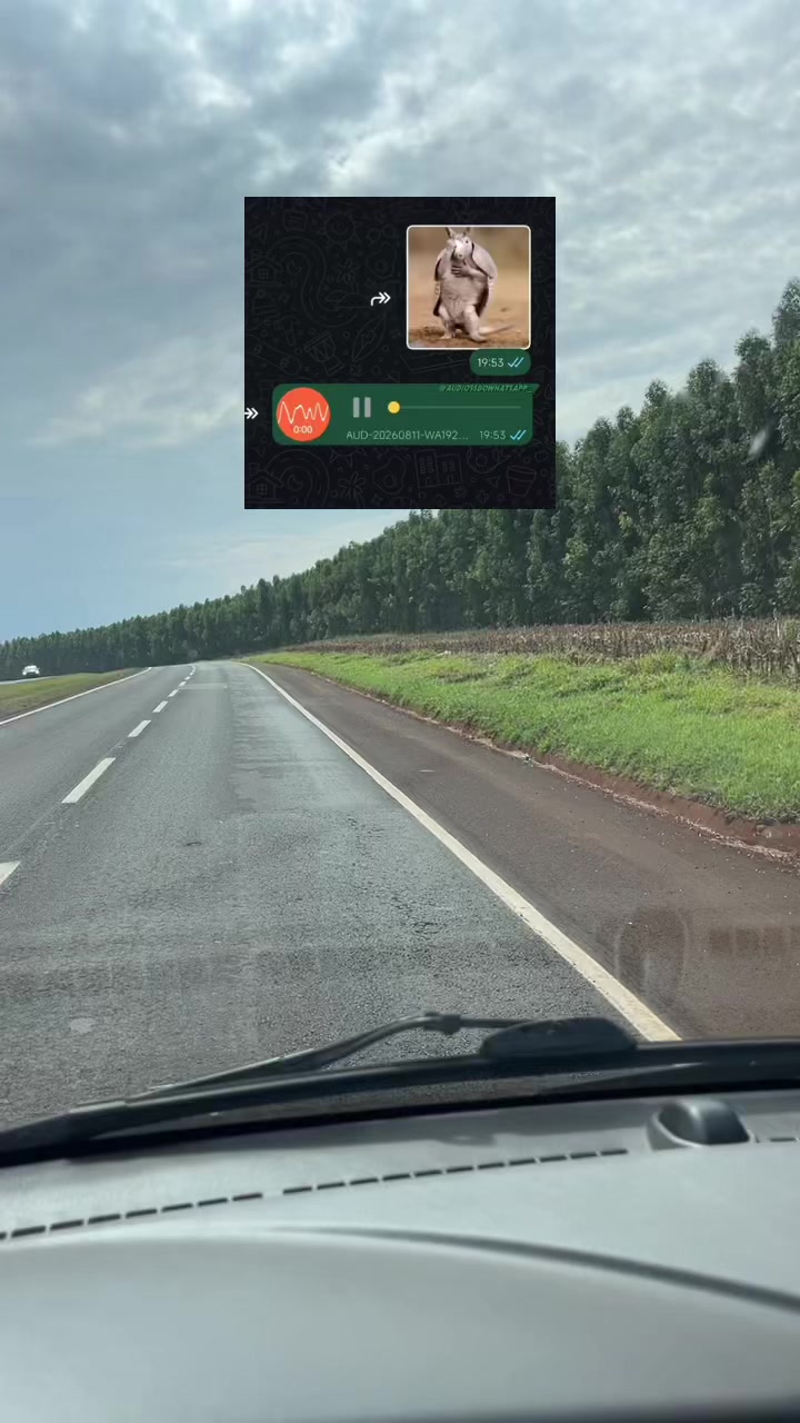 @Clipes e áudios