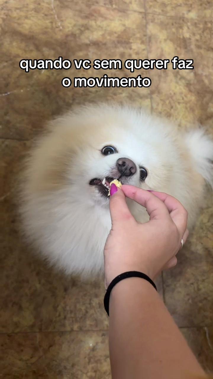 @gigi