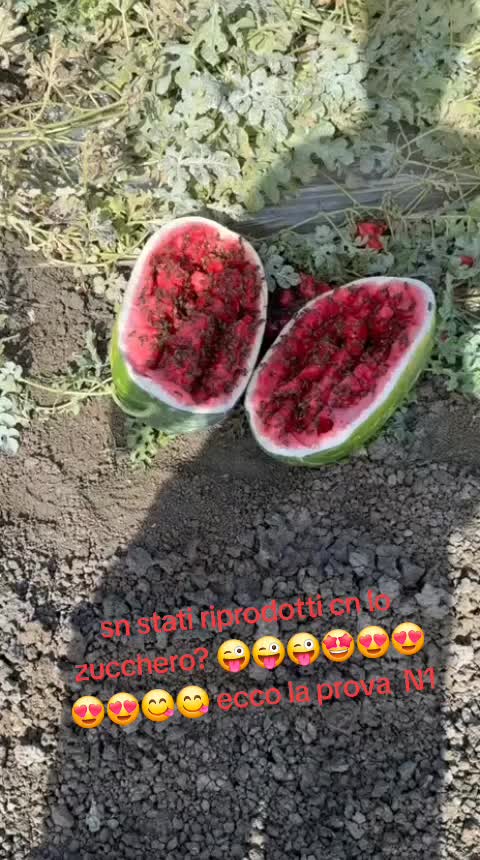 @Daniela Fontana