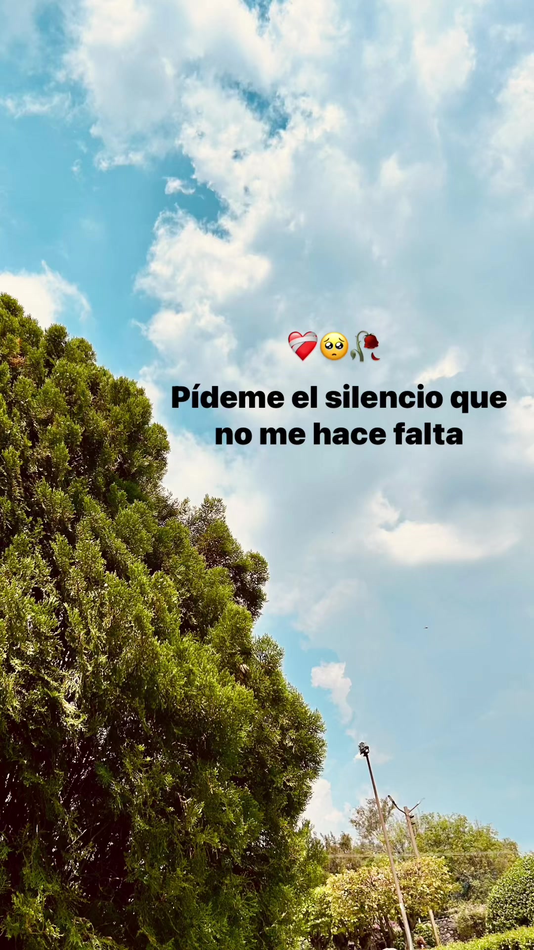 @lcia_65