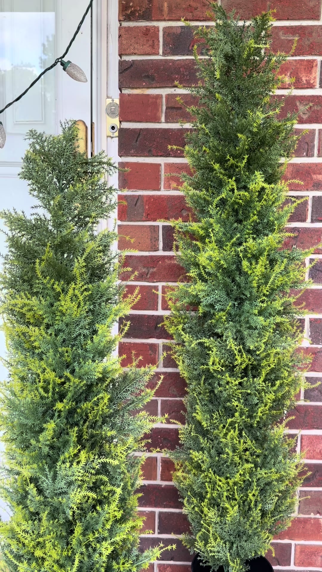 @Mira singh