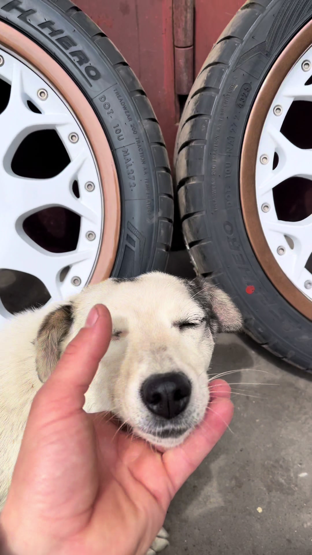 @DriftPanda